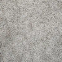 فرش شگی 1.5 در ۲|فرش|رشت, آزادگان|دیوار
