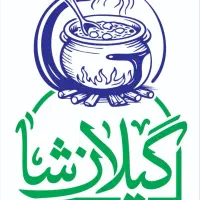 استخدام پیک موتوری