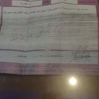 راناپلاس 1400|خودرو سواری و وانت|اردبیل, |دیوار