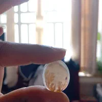 نگین شجر ژعود