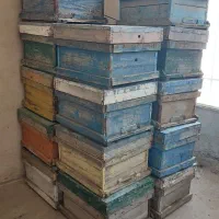 کندو دست دوم