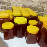 عسل طبیعی|خوردنی و آشامیدنی|پاوه, |دیوار