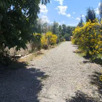 زمین-330-متر-سند-تک-برگ-مهرشهر-خ-سبزه-پرور-شهرکی