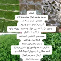 سبزیجات تازه|خوردنی و آشامیدنی|اهواز, دغاغله|دیوار