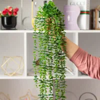 لوازم خانگی|ظروف سرو و پذیرایی|تاکستان, |دیوار