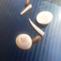 مهره خوش شانسی