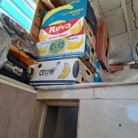 کارتن موزی|حراج|مبارکه, |دیوار