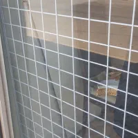 جالی برای مغازه