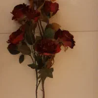 وسلیه خرده ریز