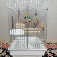 قفس 1032 خارجی آبکاری نیکل کروم