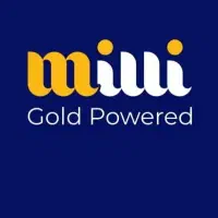 درآمدزایی با میلی ۳۰۰تومن