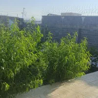 فروش باغ ویلا