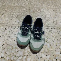 کفش تاناکرا|کیف، کفش، کمربند|کبودرآهنگ, |دیوار