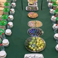 روضه خوانی و ادعیه خوانی برای مجالس بانوان