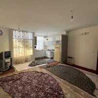 ۵۵ متر /خوش نقشه /شکوفه درودیان کرمان