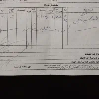 فروش طلا نو بدون اجرت|جواهرات|شیراز, زیباشهر|دیوار