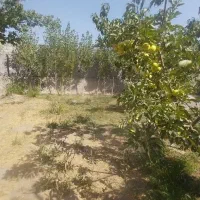 باغ ۵۰۳ متری در نزدیکی شهرک خاوران|فروش خانه و ویلا|باسمنج, |دیوار