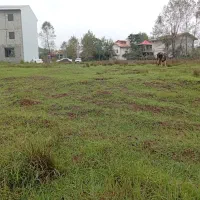 زمین باپروانه اطاقور