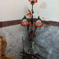 کنار سالنی