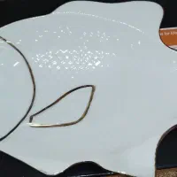 دیس سرو