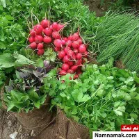 سوپی سبزی خورشتی خوردن اشی کوکویی سیر