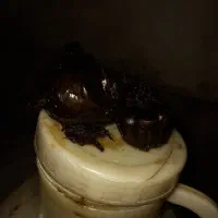 سیر ۱۰ ساله