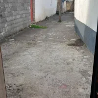 فروش خونه ویلایی|فروش خانه و ویلا|رشت, کوی طالقانی|دیوار