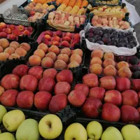 دو نفر نیروی کار