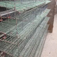 قفس بلدرچین