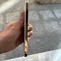 ایفون ۱۲ پرو مکس ۲۵۶|موبایل|تهران, تهرانپارس غربی|دیوار