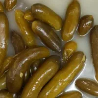 خیار شور نول ،ممتاز