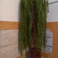 گلدون ودرخت بید|گل مصنوعی|دوگنبدان, |دیوار