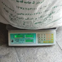 نان خشک