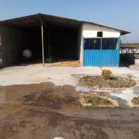 دامداری صنعتی باقابلیت تغییر کاربری|فروش دفتر صنعتی، کشاورزی، تجاری|ملکآباد, |دیوار