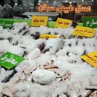 ماهی تازه‌ جنوب رسید