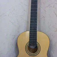 گیتار Guvnor