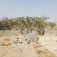 فروش باغچه ۸۰۰ متری بنه گز اهرم تنگستان|فروش خانه و ویلا|اهرم, |دیوار