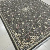 گلارا فـرش +بافته شـده ممتاــز|فرش|شیراز, میانرود|دیوار
