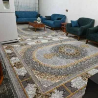 شهرفرش|فرش|برازجان, |دیوار