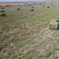 بیده ،سبسک فروشی