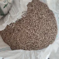 لوبیا چیتی ارتشی