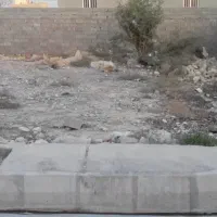 زمین شهرک زادلانه