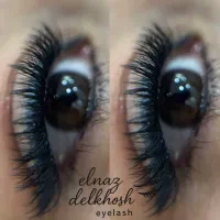 آموزشو خدمات کاشت هیدن|خدمات آرایشگری و زیبایی|رشت, انصاری|دیوار