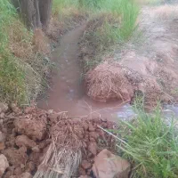 ۱۱۵۰ باغ گردووانگوردرنرسیده به زوارم درشیراباد