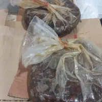 خرما مرداسنگ