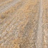 اجاره زمین کشاورزی