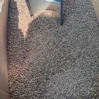 لوبیاچیتی۲۰۰پخش حبوبات به قیمت عمده