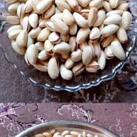 موکت|موکت|گلبهار, شهر جدید گلبهار|دیوار