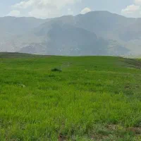 طالقان ۱۱هزار متر زمین