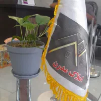 واحد-60-الی-200-متری-گاوخانه